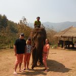 Photo taken by Terri M