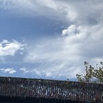 Photo taken by Kaisha S