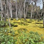 Photo taken by Ray R