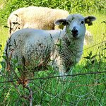 Photo taken by Linda M