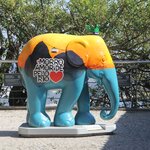 Photo taken by Andrew S