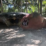 Photo taken by James W