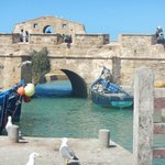 null | Photo taken by Wayne P