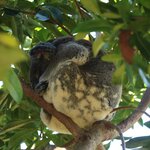 Photo taken by Nicholas P