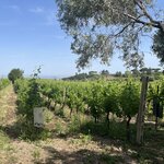 Photo taken by Natalia A