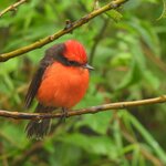 Photo taken by Patricia D