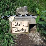 Photo taken by Kaya W