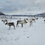 Photo taken by Gerrald S