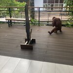 Photo taken by Richard C