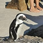 Photo taken by Crystall P