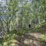 Photo taken by Kevin H