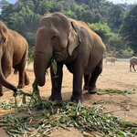 Photo taken by Megan H