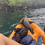 Photo taken by Ben S