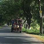 Local transport | Photo taken by Rodney S