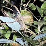 Photo taken by Bonnie Y