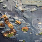 Photo taken by Narasimhachar P