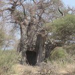 Photo taken by Kristin M