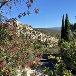 Photo taken by Suzanne S