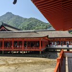 Photo taken by PADMABEN P