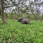 Photo taken by Kayla H