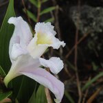 Photo taken by Pat K