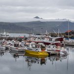 Photo taken by Michael H