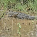 Photo taken by Dan J