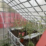 Photo taken by Nan K