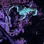 Photo taken by Shanthi V