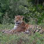 Photo taken by Matt W