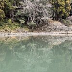 Photo taken by Ray R