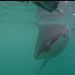 Photo taken by Kolla S