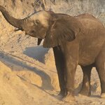 Photo taken by Kaye D