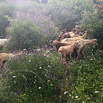 Photo taken by Richard P