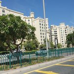 Photo taken by suzanne c