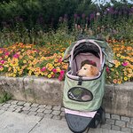 Photo taken by Krissy S