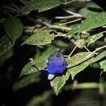 Photo taken by Julie S