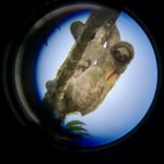 Photo taken by Katie W