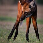 Photo taken by Matt W