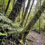 Photo taken by Linda W