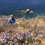 Photo taken by Shawn G