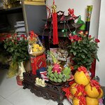 Photo taken by Susan R