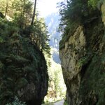 hiking pics - day 1 | Photo taken by ronald d