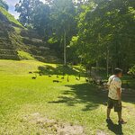 Photo taken by Camille S