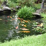 Photo taken by Barry Y