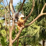 Photo taken by Garritt V