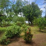 Photo taken by Darla D