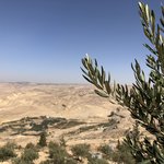 Photo taken by Marion M