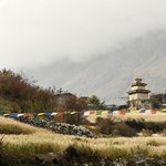 Photo taken by Tyler W