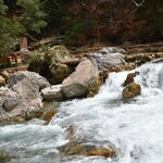 Photo taken by SARMA M